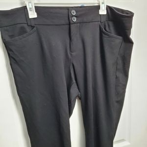 Torrid 20T pants